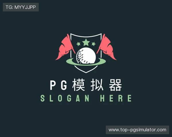 关于pg模拟器大全